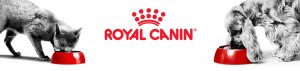 Prémiové krmivo Royal Canin
